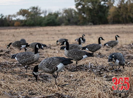 Waterfowl Hunting Gear Manucaturers